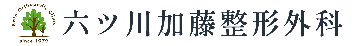 医療法人社団　加藤整形外科医院